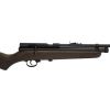 Beeman SAG .22cal CO2 Powered Single Shot Pellet Air Rifle