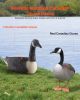 Canada Goose Decoy Outdoor Goose Floater with Ultra Realistic Paint 6-Pack
