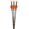 Ravin .001 Premium Match-Grade Lighted Arrows (3-Pack)